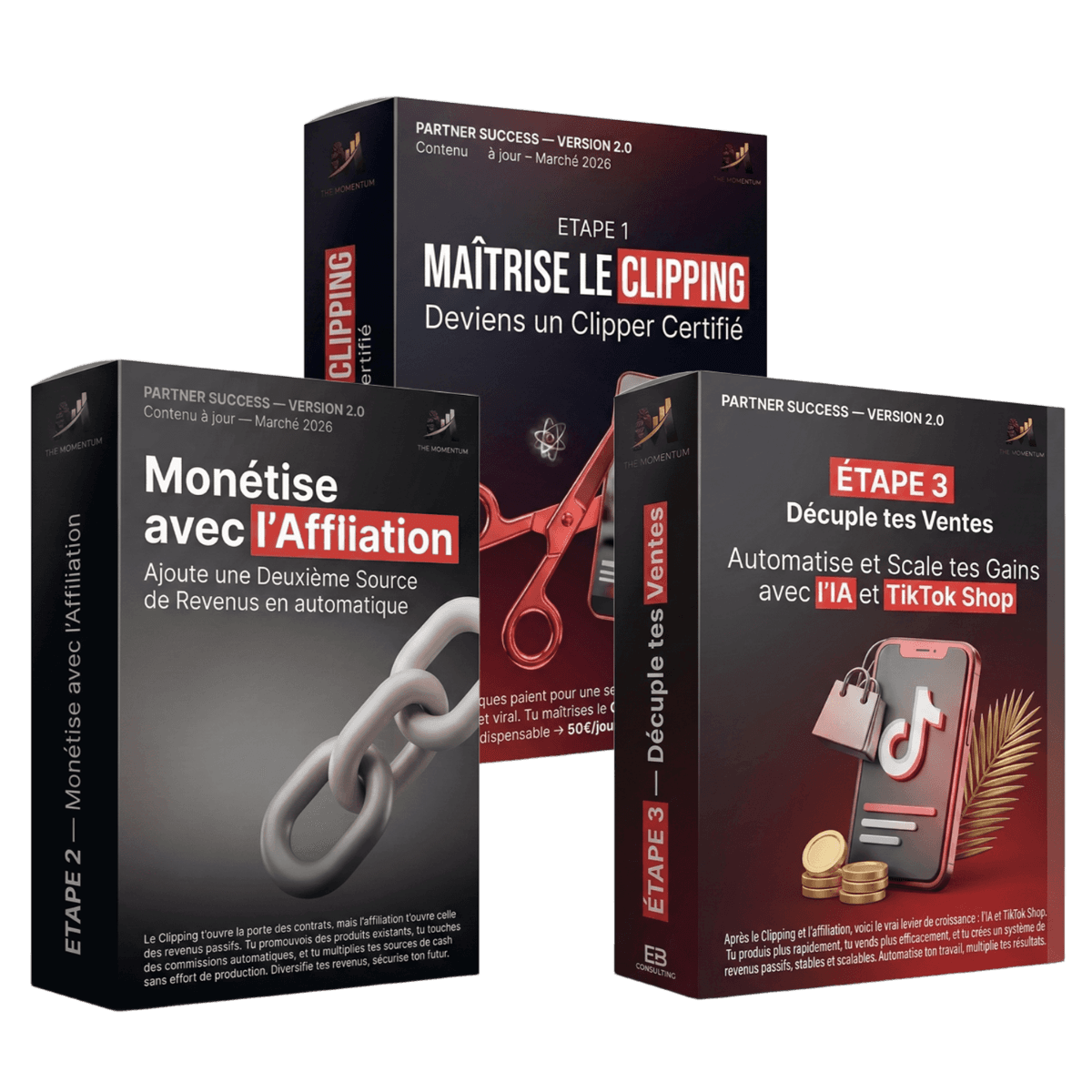 PARTNER SUCCESS™ - LEVEL UP - 260€x2 2