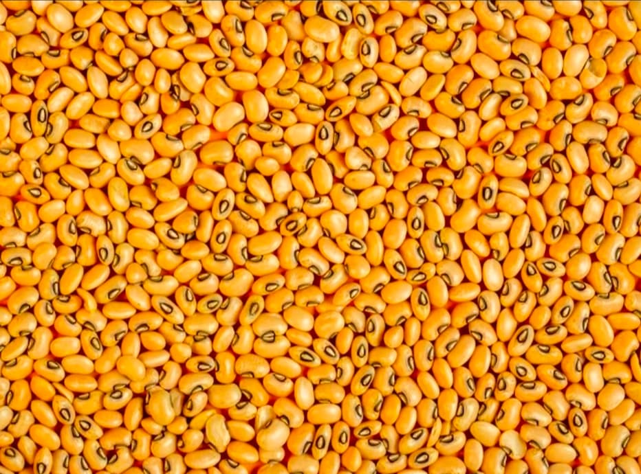 Haricot jaune / Carton de 2 kg 2