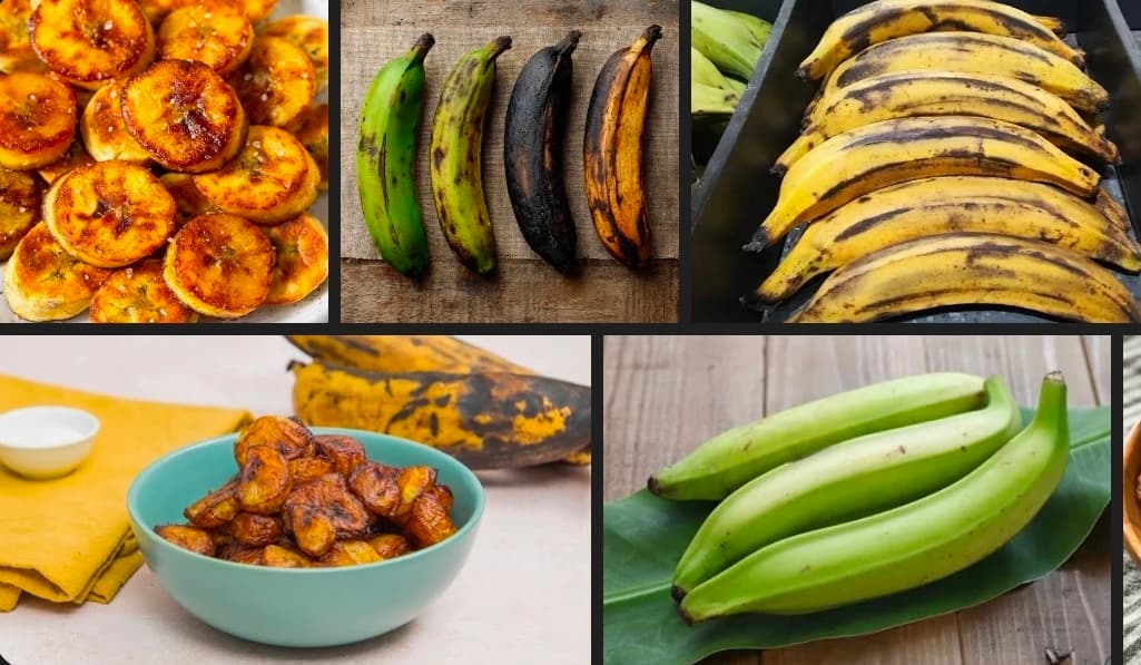Banane plantain / Carton de 8 Kg