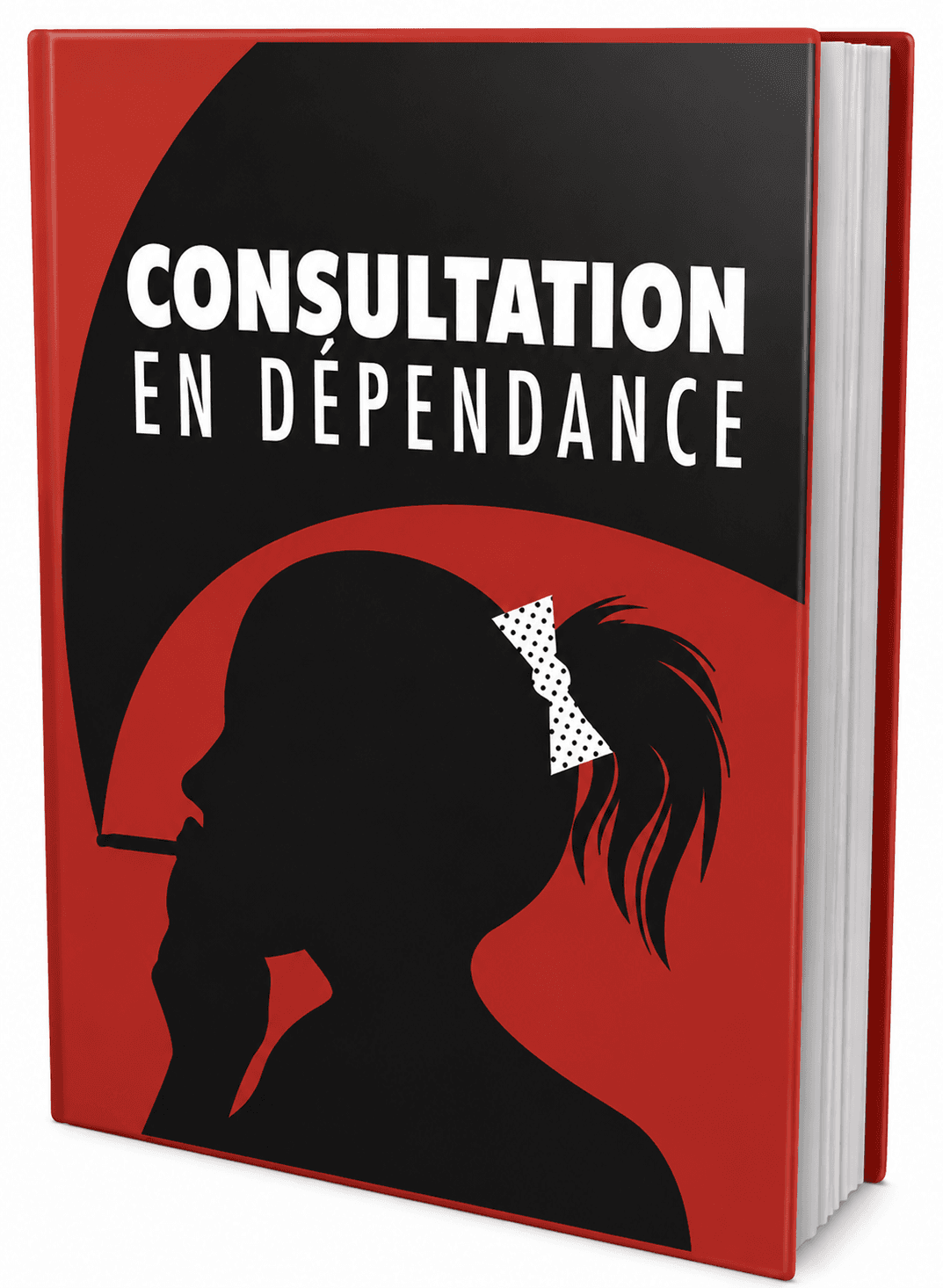 Conseils en toxicomanie 3