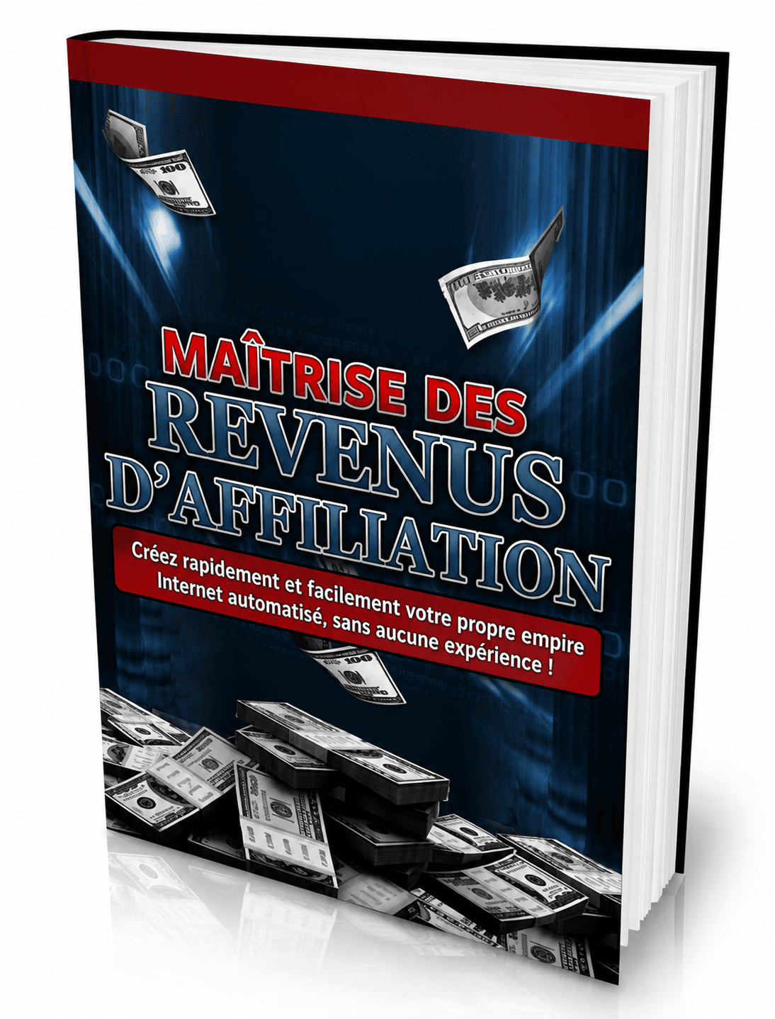 Maîtriser les revenus d'affiliation 2